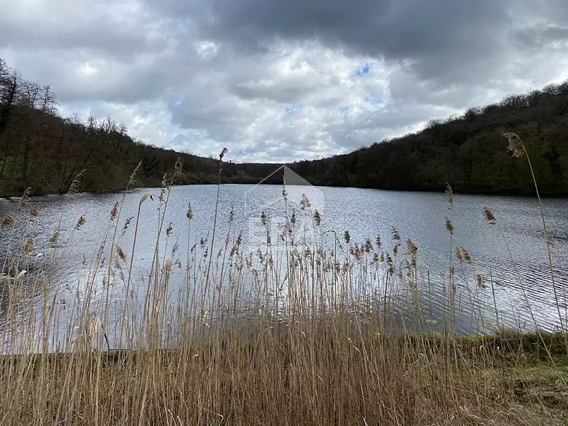Étang de chasse de 6,5 ha à Soissons — photo 3