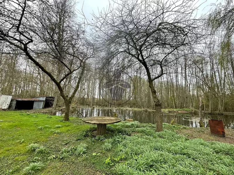 Fishing and leisure lake, 0.65 ha with island in Hauts-de-France — photo 4