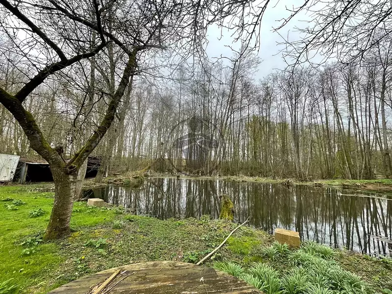 Étang de chasse à Harly — photo 3