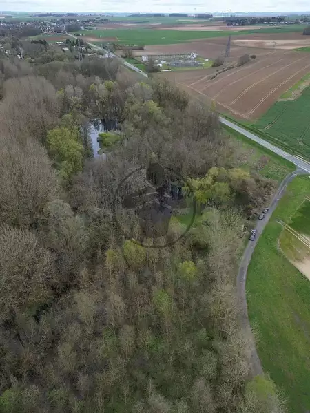 Étang de chasse à Harly — photo 2