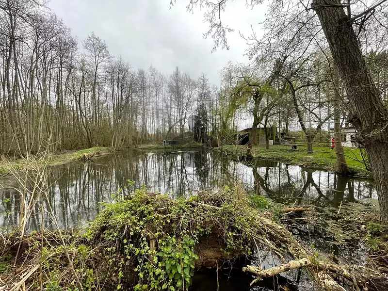 Fishing and leisure lake, 0.65 ha with island in Hauts-de-France — photo 2