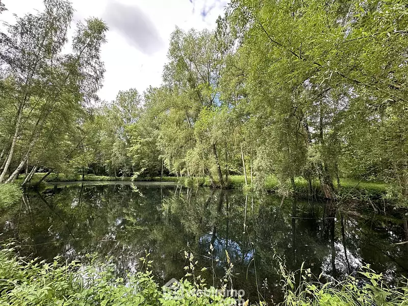 Étang d'agrément à Presles-et-Thierny — photo 2