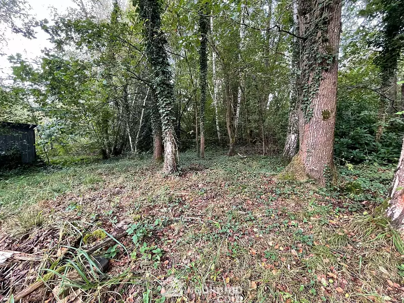 Étang d'agrément à Chaillevois — photo 5