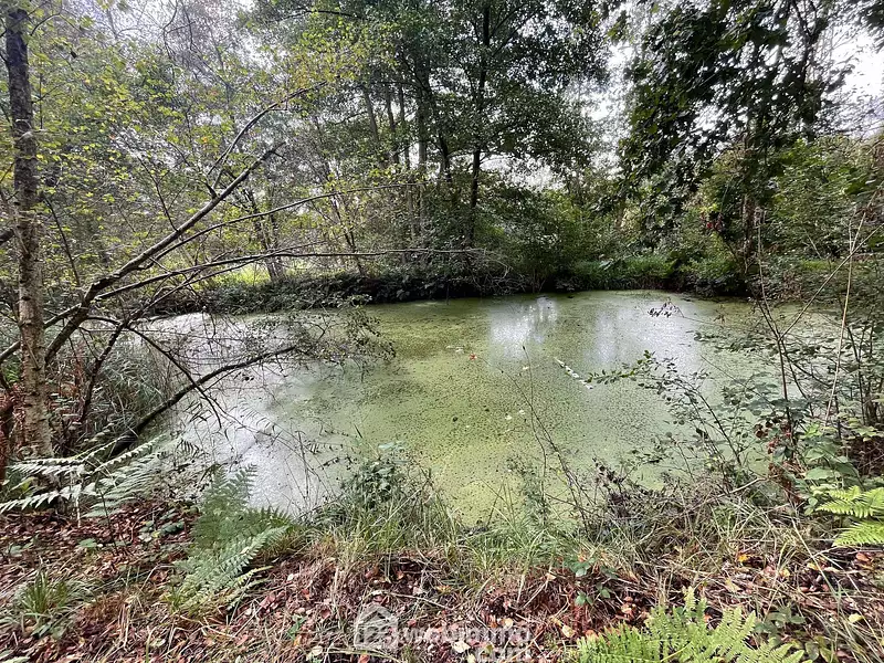 Étang d'agrément à Chaillevois — photo 2