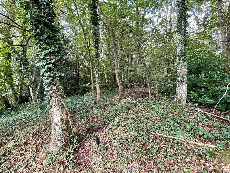 Étang d'agrément à Chaillevois — photo 4