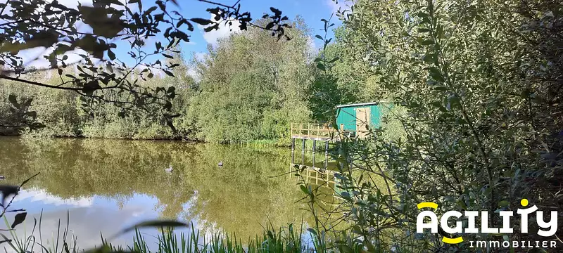Étang de chasse à Millonfosse — photo 2