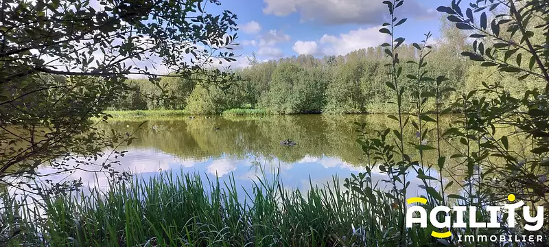 Étang de chasse à Millonfosse