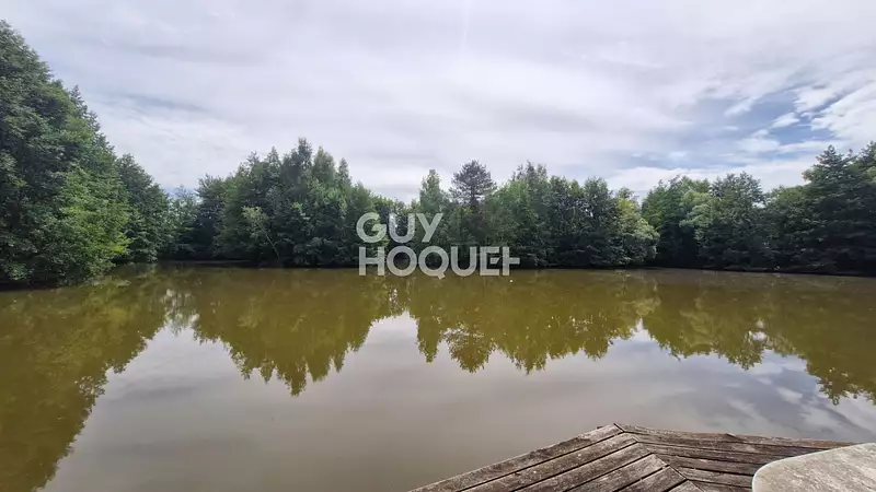 Étang de chasse à Soissons — photo 2