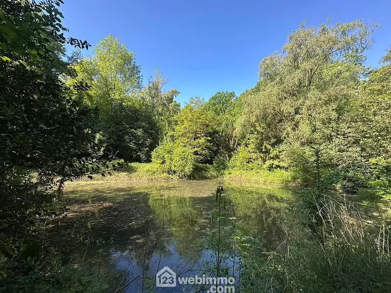 Étang de pêche à Parfondru — photo 2