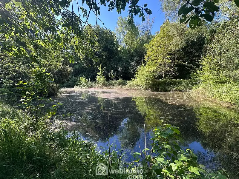 Étang de pêche à Parfondru — photo 4