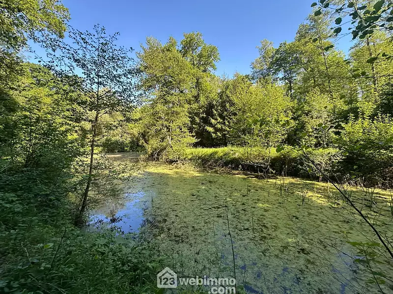 Étang de pêche à Parfondru — photo 3