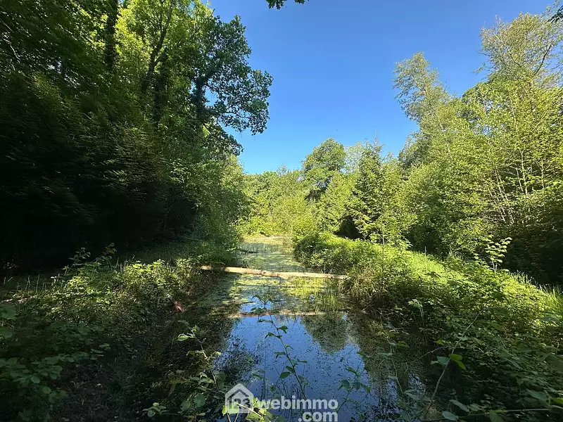 Étang de pêche à Parfondru