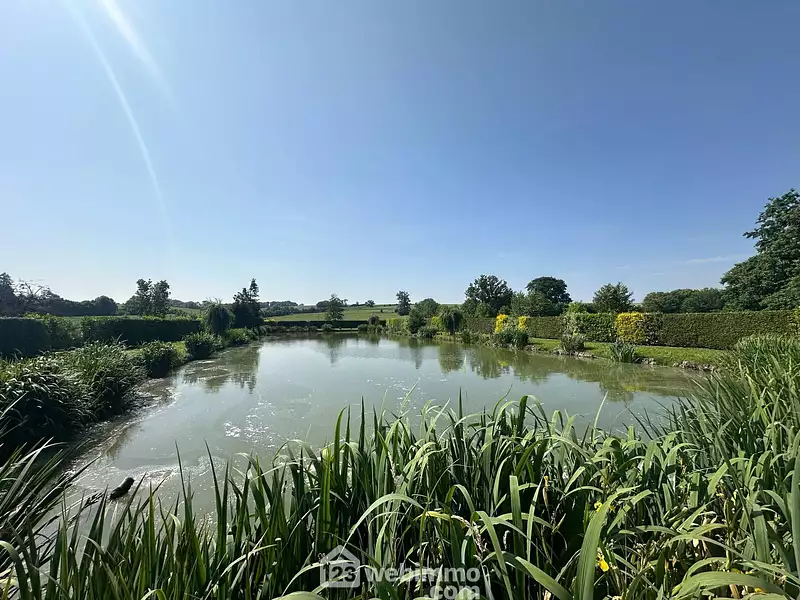Étang de pêche à Houry — photo 5