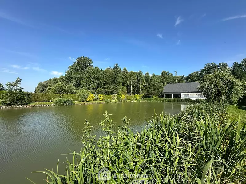 Étang de pêche à Houry