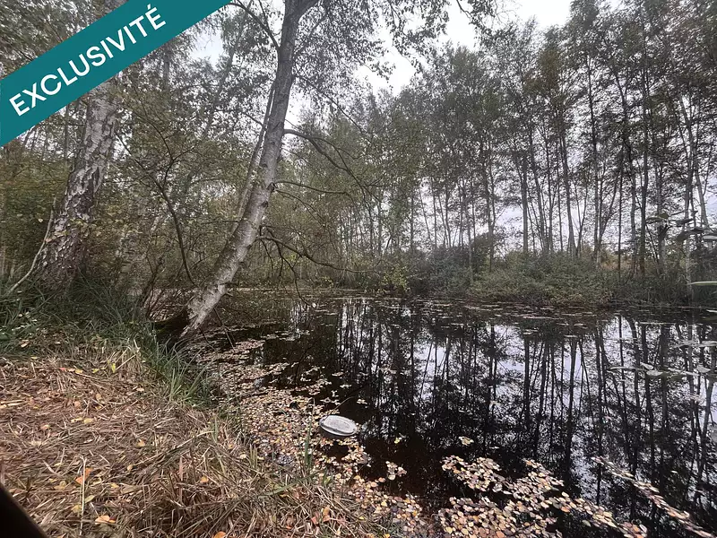 Étang d'agrément à Missy-lès-Pierrepont — photo 3