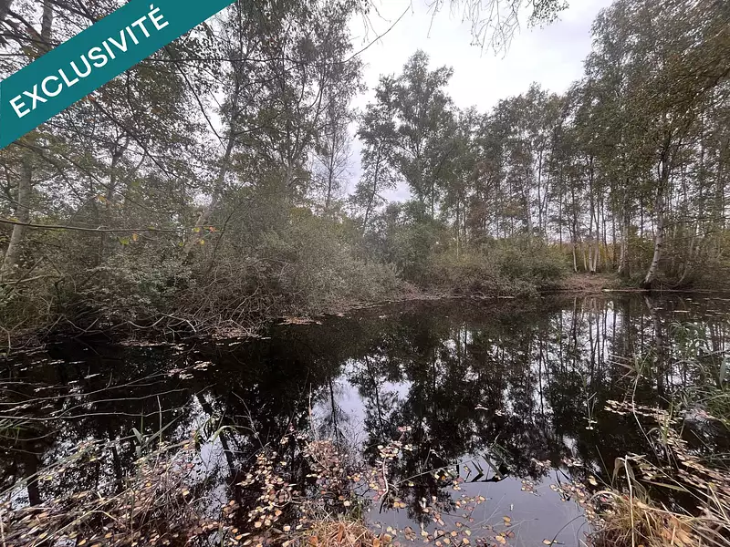 Étang d'agrément à Missy-lès-Pierrepont — photo 2