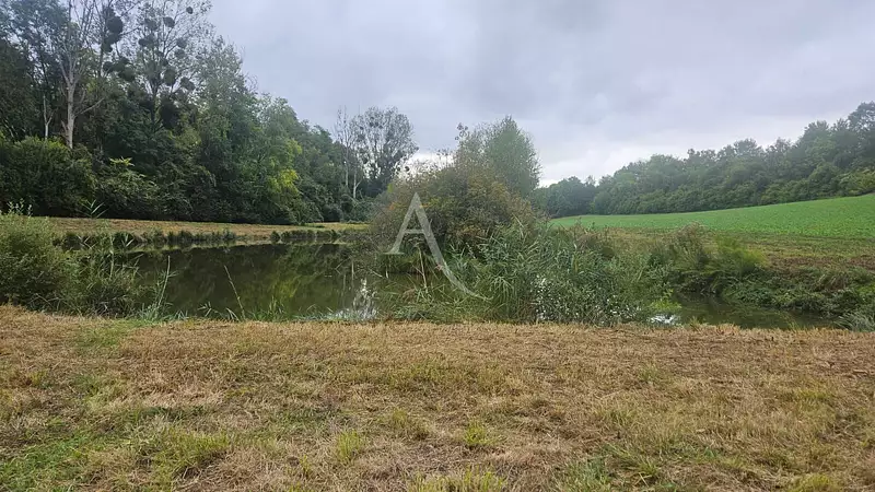 Étang d'agrément à Soissons — photo 2