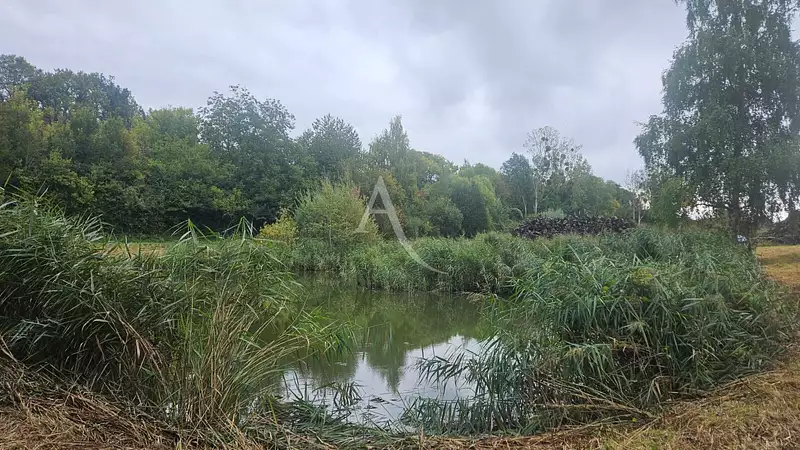 Étang d'agrément à Soissons — photo 3