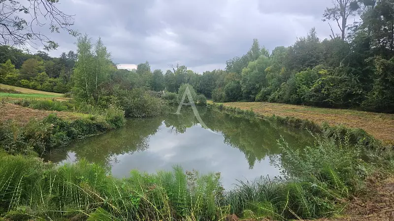 Étang d'agrément à Soissons — photo 2