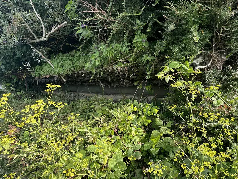 Étang de chasse à Condé-Folie — photo 3