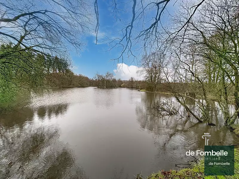 Étang de chasse de 2 ha à Magny-le-Désert — photo 2