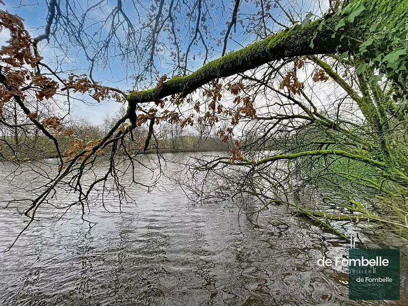 Étang de chasse de 2 ha à Magny-le-Désert — photo 3