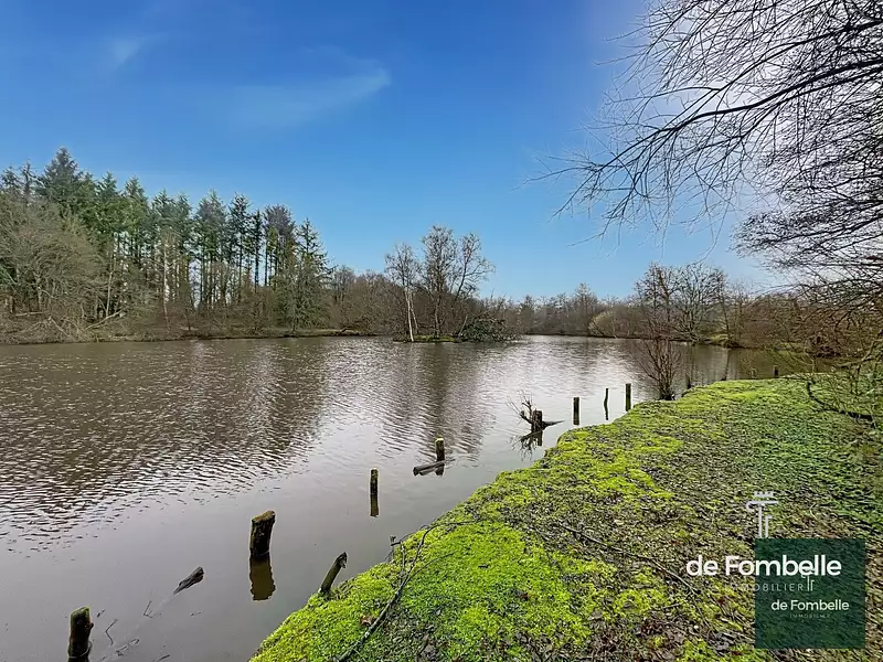 Étang de chasse de 2 ha à Magny-le-Désert
