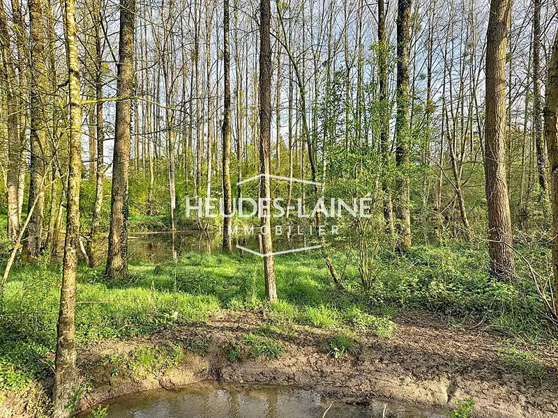 Fishing lake with woodland, 1.5 ha in Normandy — photo 5