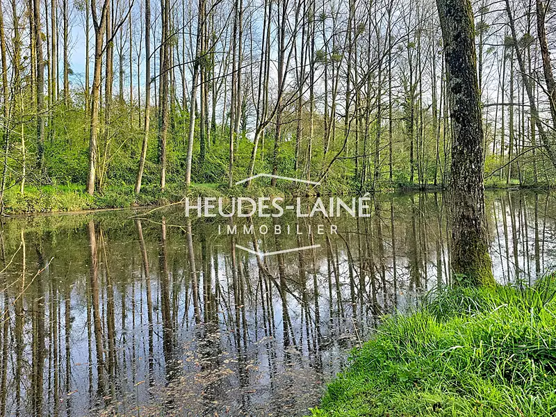 Étang de pêche à Saint-Loup
