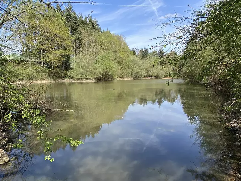 Étang de pêche à Verneuil d'Avre et d'Iton