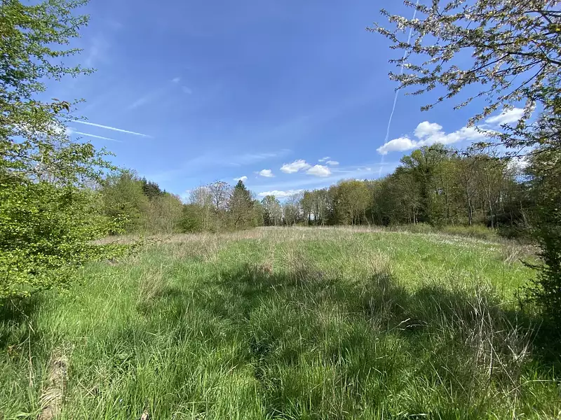 Étang de pêche à Verneuil d'Avre et d'Iton
