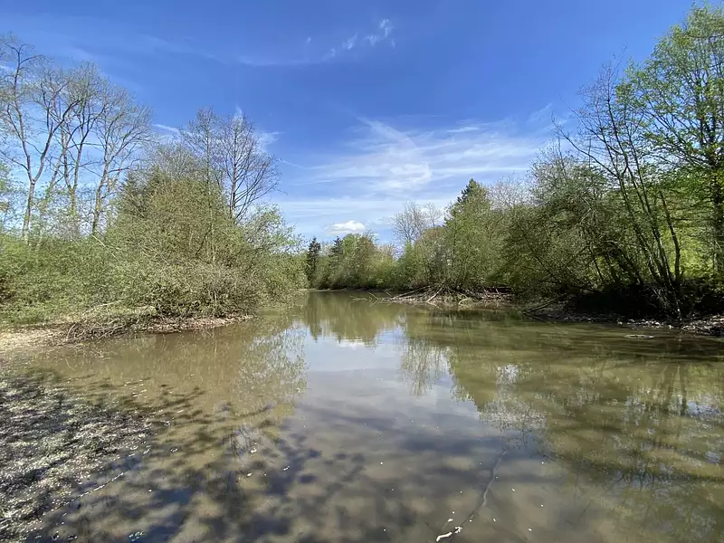 Fishing lake with riverside cottage, 4.4 ha in Normandy — photo 3