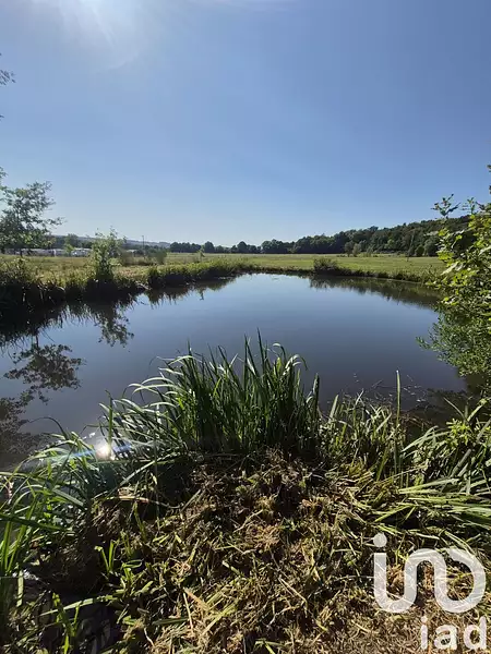 Étang de pêche à Ferrières-en-Bray