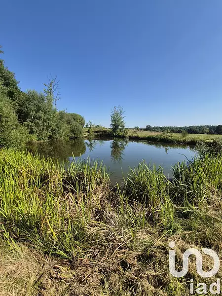 Étang de pêche à Ferrières-en-Bray — photo 3