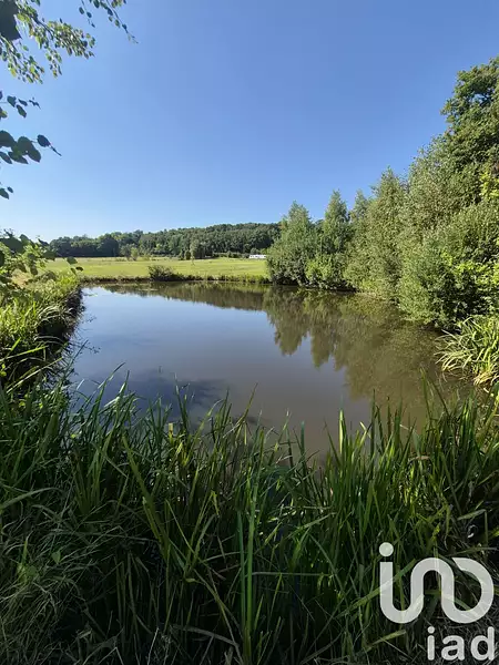 Étang de pêche à Ferrières-en-Bray — photo 2