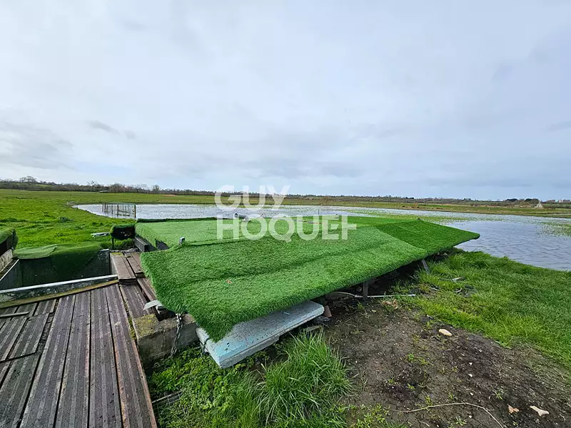 Étang d'agrément à Cricqueville-en-Bessin — photo 4
