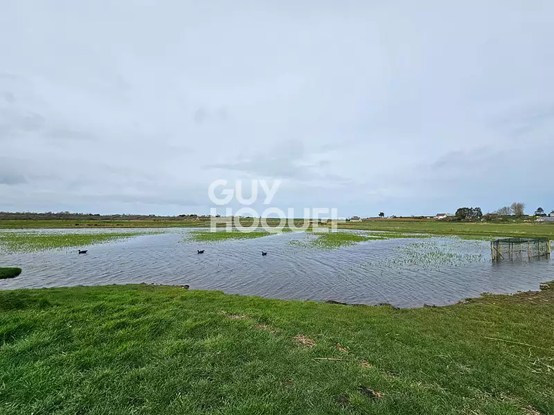 Étang d'agrément à Cricqueville-en-Bessin — photo 2