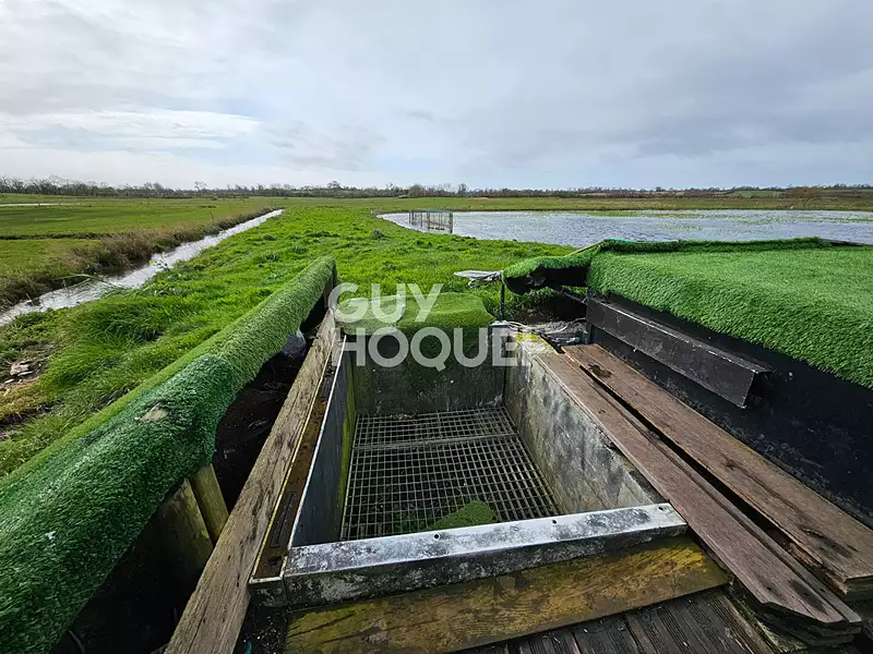 Leisure lake and fishing retreat, 1.36 ha in Normandy — photo 5