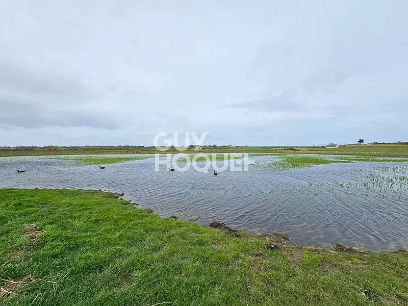 Étang d'agrément à Cricqueville-en-Bessin — photo 3