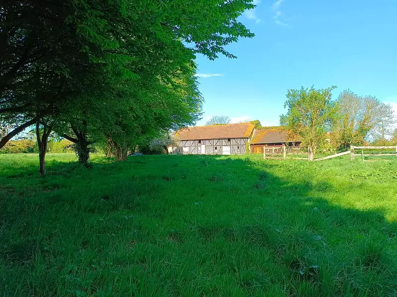 Étang d'agrément à Mézidon Vallée d'Auge — photo 3