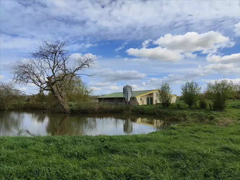 Étang d'agrément à Emanville