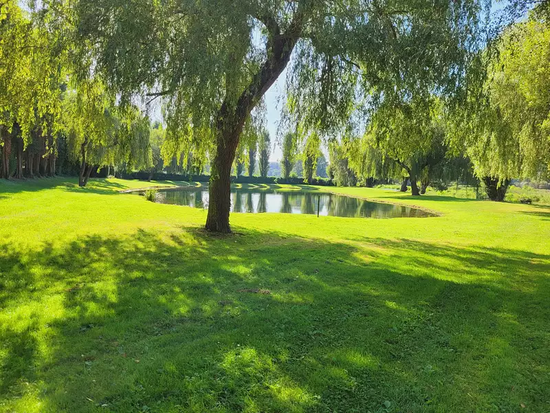 Leisure lake, 0.24 ha in Normandy — photo 5