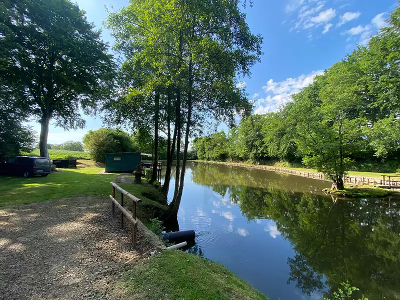 Étang d'agrément à La Ferté-Macé — photo 3