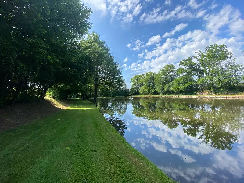 Étang d'agrément à La Ferté-Macé — photo 4