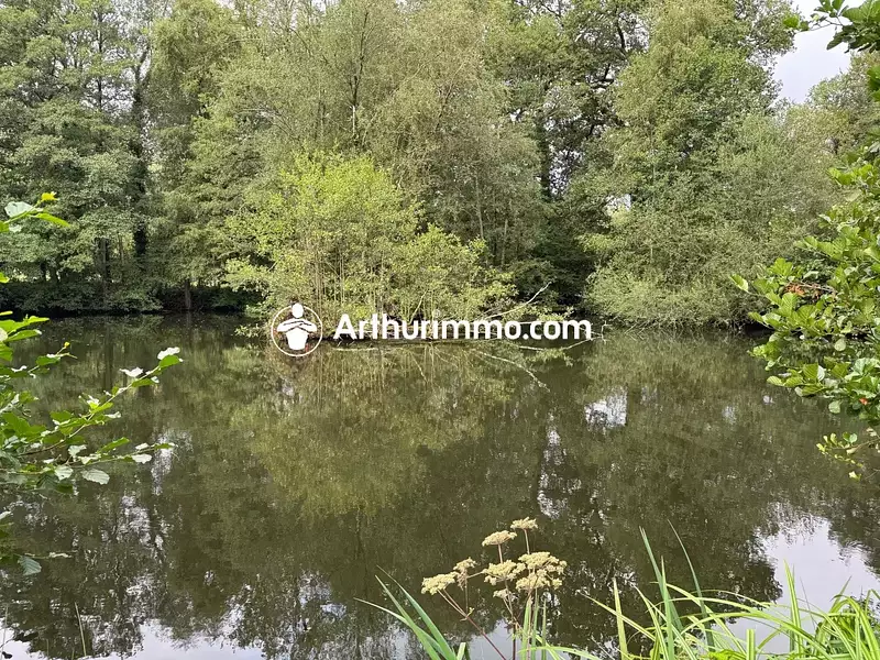 Étang de pêche à Ciral — photo 3