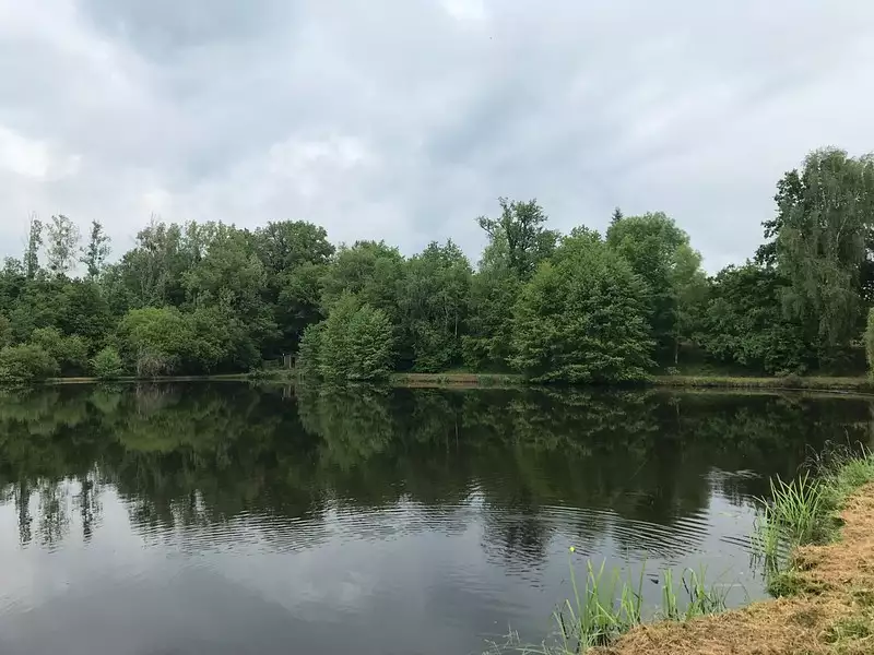 Étang de pêche à Lanouaille — photo 4