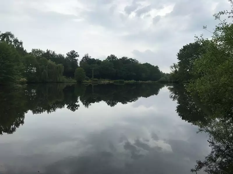 Étang de pêche à Lanouaille — photo 5