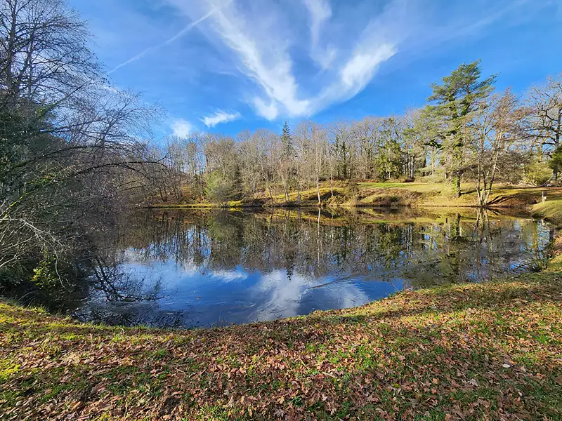 Étang de pêche de 1,2 ha à Saint-Hilaire-les-Places — photo 4