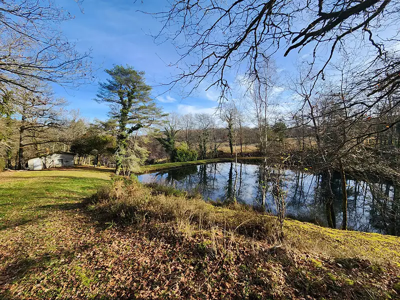 Étang de pêche de 1,2 ha à Saint-Hilaire-les-Places — photo 5