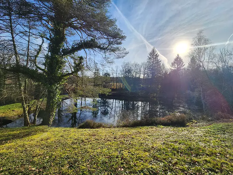 Étang de pêche de 1,2 ha à Saint-Hilaire-les-Places — photo 2